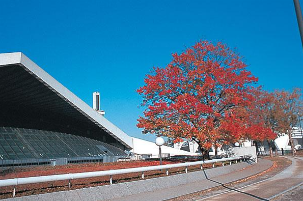 駒沢オリンピック公園