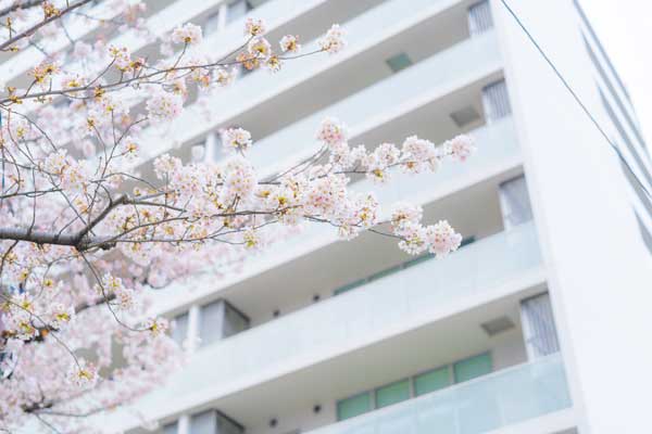 引っ越しシーズンを狙って売却する 桜とマンション外観