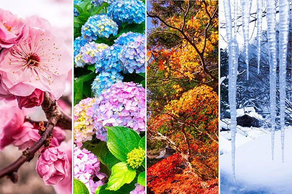 四季の変化に対応する日本に合った構法　イメージ