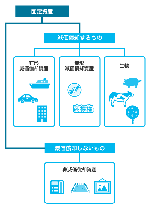 減価償却資産の分類