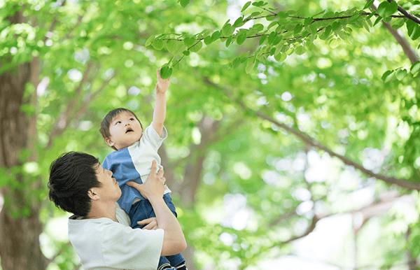 子育てグリーン住宅支援制度イメージ